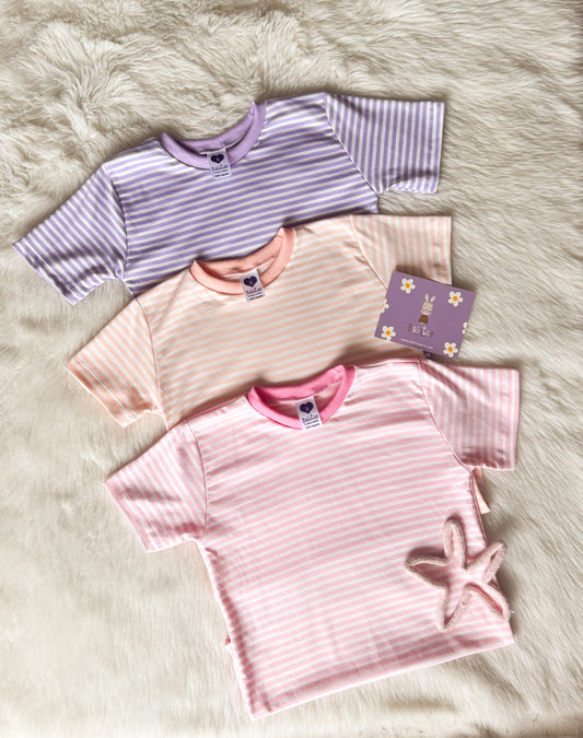 Basiquitas rayaditas pima